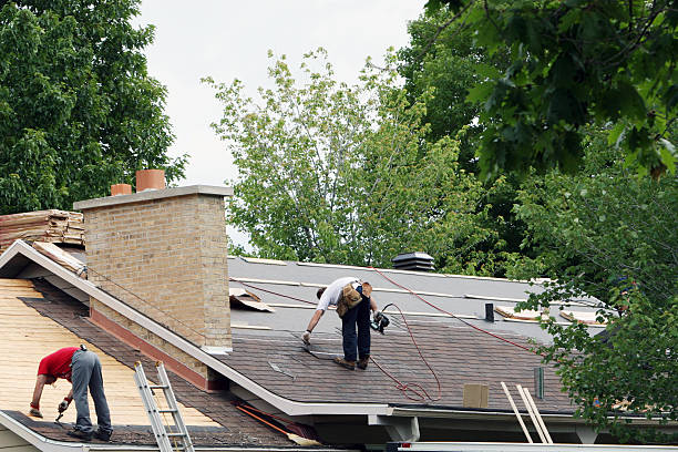 Best Roof Ventilation Installation  in Poplarville, MS